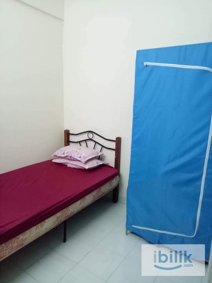 1 Medium & 1 Small Room to be Rented - Image 1