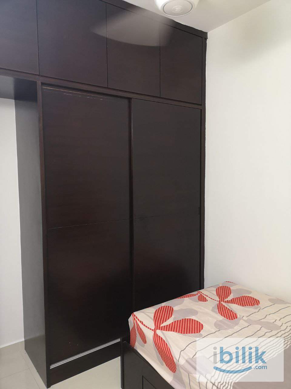 Bilik Sewa Murah Penang (island area) USM,FIZ Area,Gelugor,Batu Uban, Sg Dua - Image 4