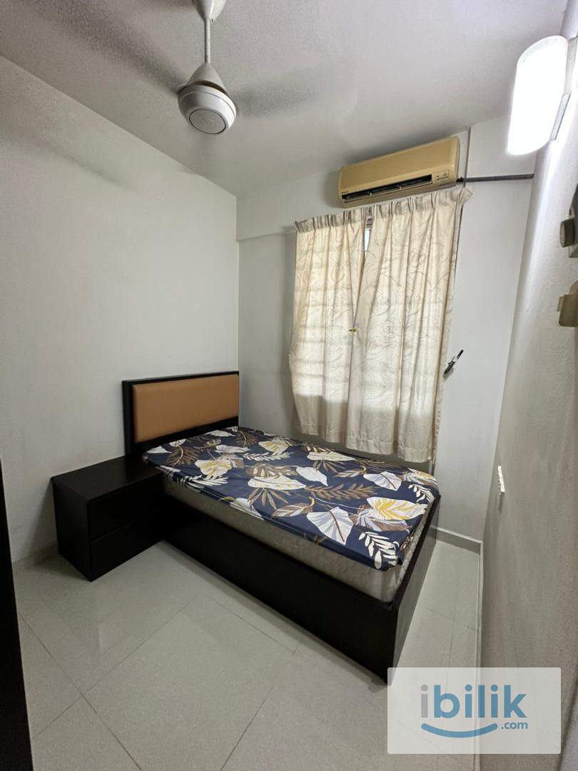 Bilik Sewa Murah Penang Unit Perempuan Sg Dua Gelugor Bayan Baru Bayan Lepas USM FIZ Area - Image 2