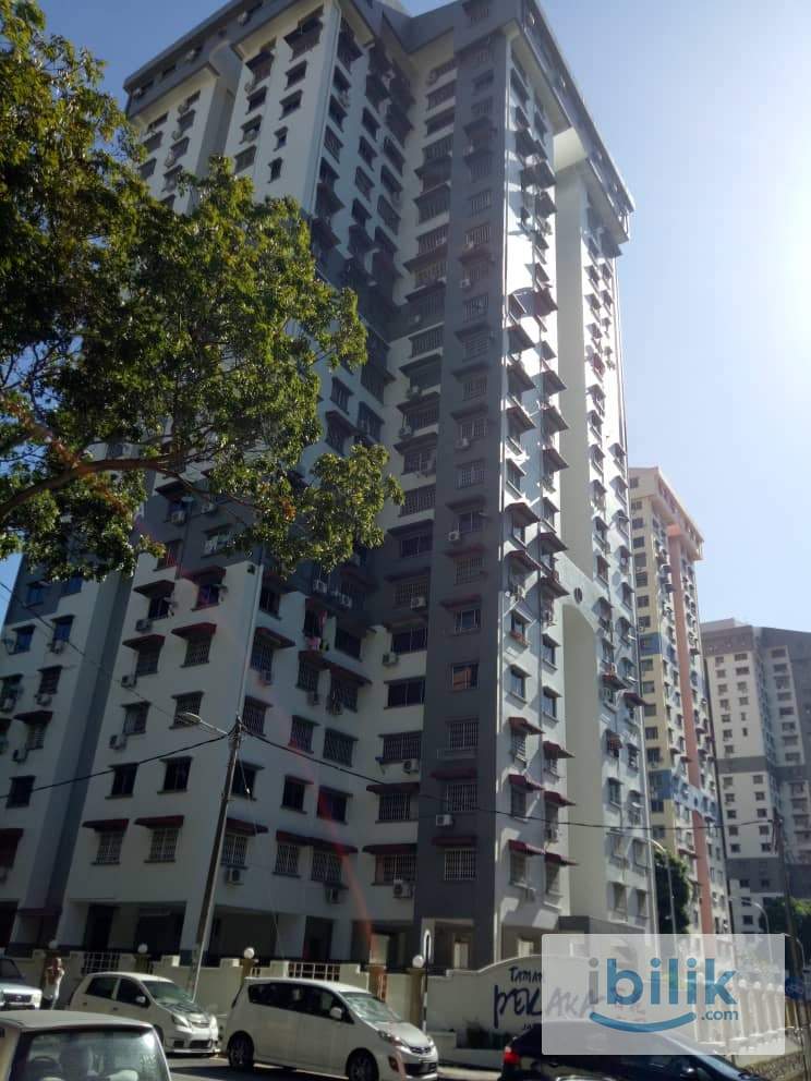 Private big master bedroom with attached bathroom and one covered car park near to USM - Image 2