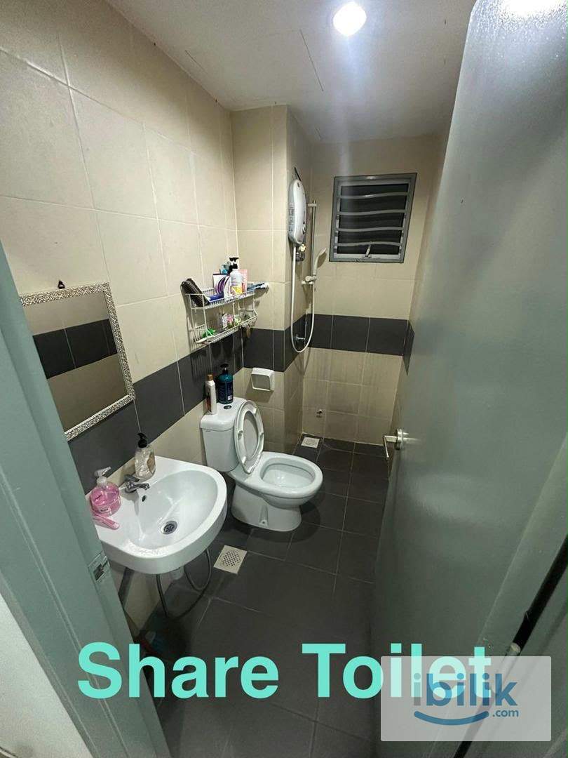 Small Room for rent - Image 5