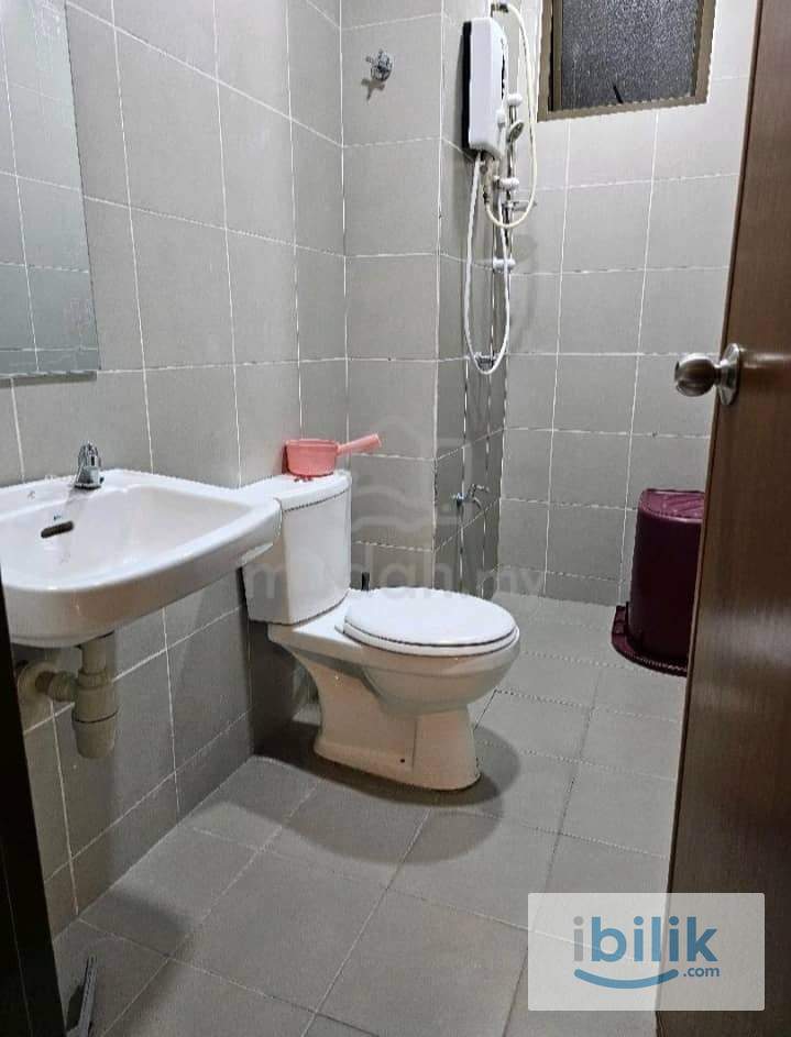 Medium - Image 8