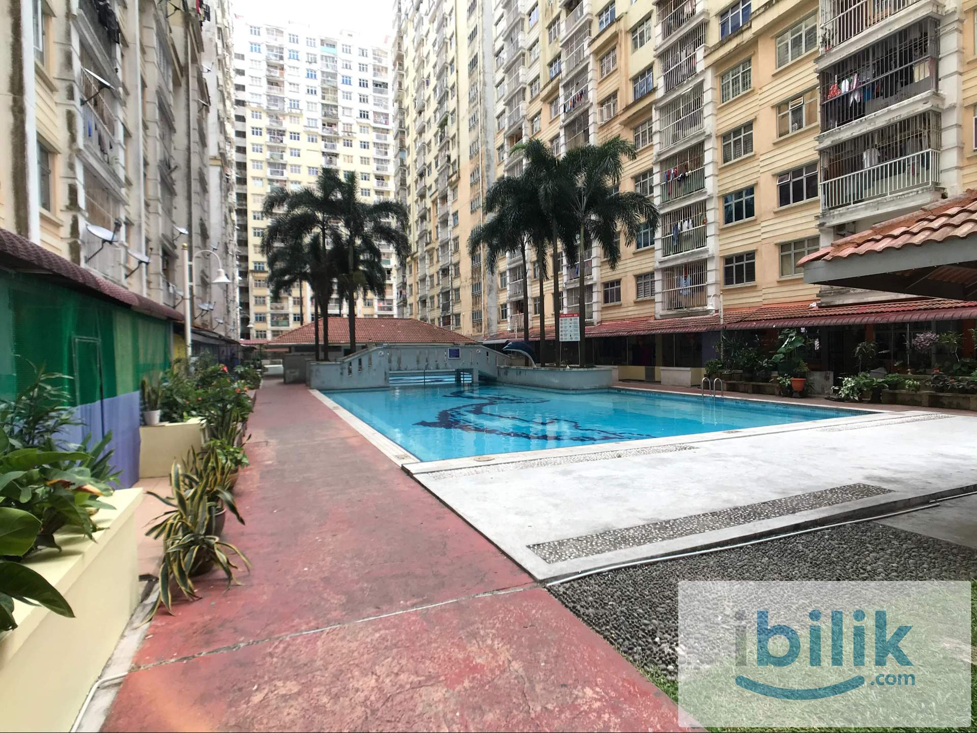 Villa Krystal Apartment Room For Rent - Image 8