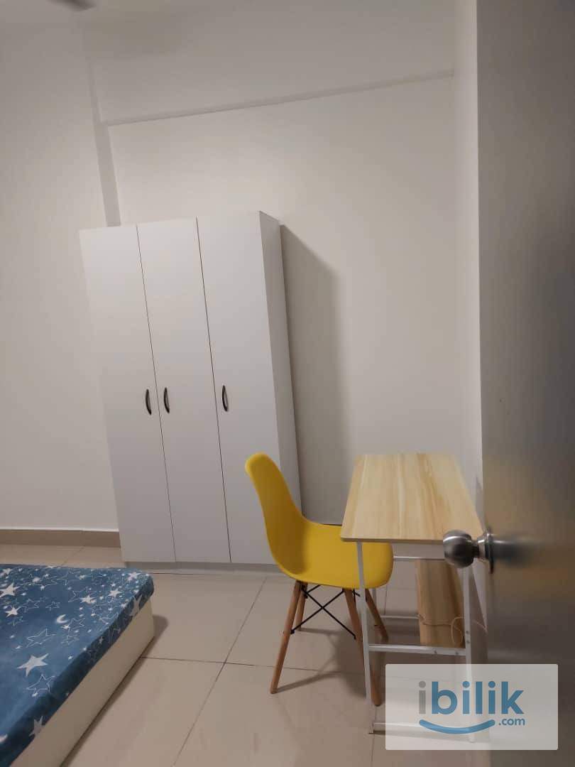 Urgent ‼️ Middle room to let  - Image 2