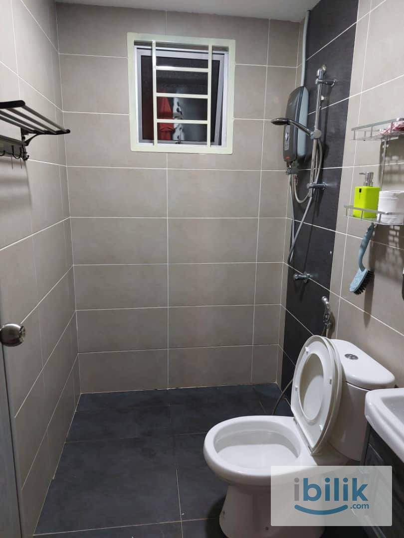 Urgent ‼️ Middle room to let  - Image 4