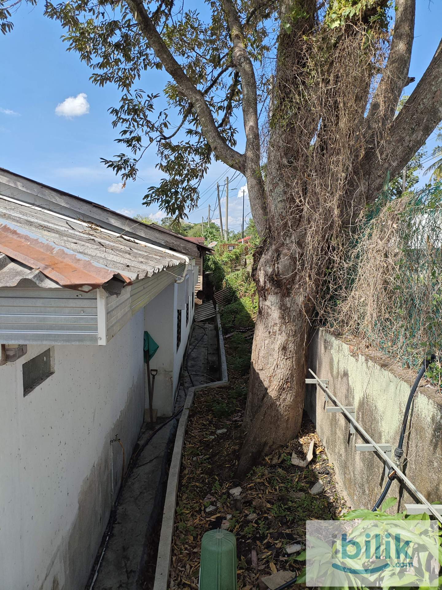 Bungalow Landed Old Kampung House (with Durian Tree) - Image 7