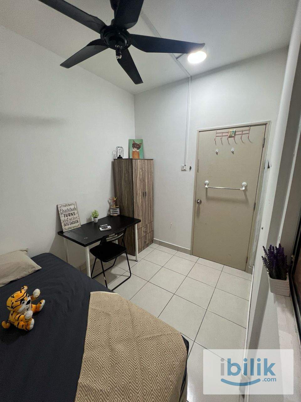 MEDIUM  - Image 3