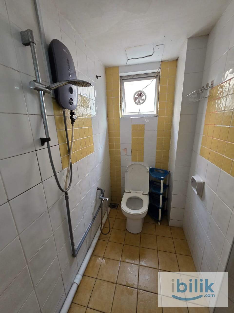 🗨 Vacant Room looking for Tennent 💨 - Image 2