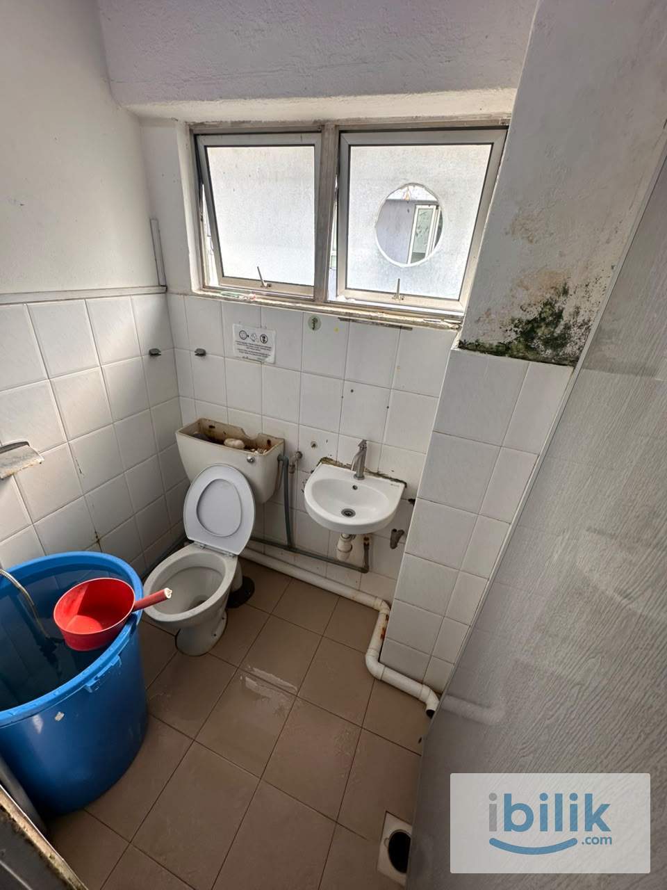 SS2, coliving Room to Rent  - Image 4