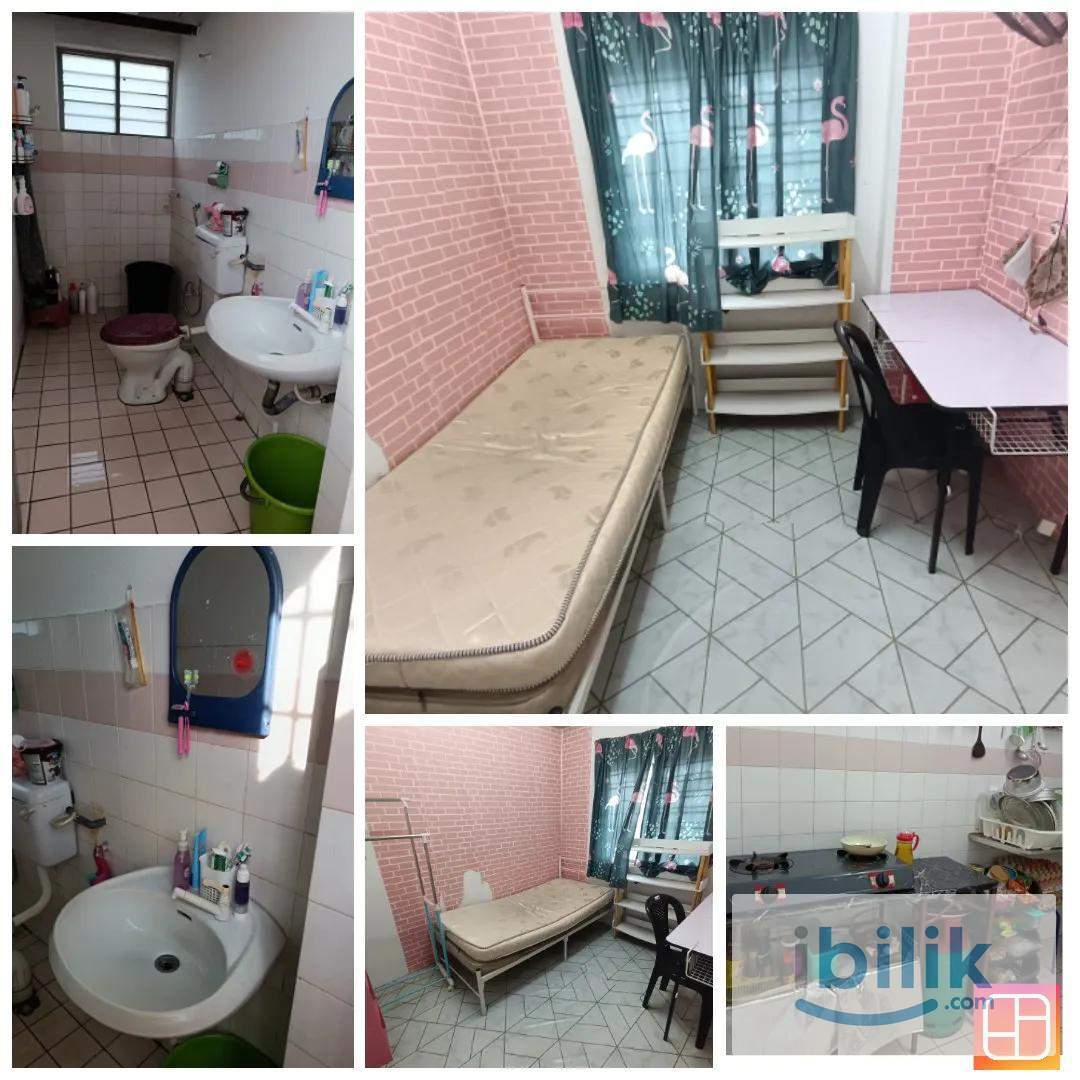 Fully Furnished Female Room - Image 1